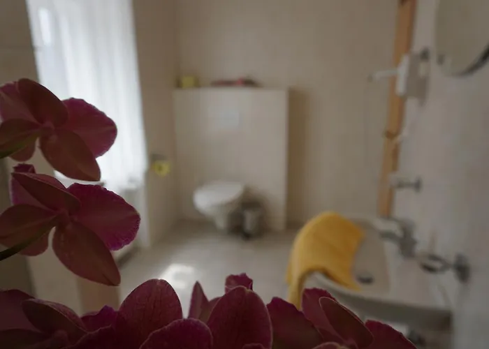 Mariandl 3* Spitz an der Donau